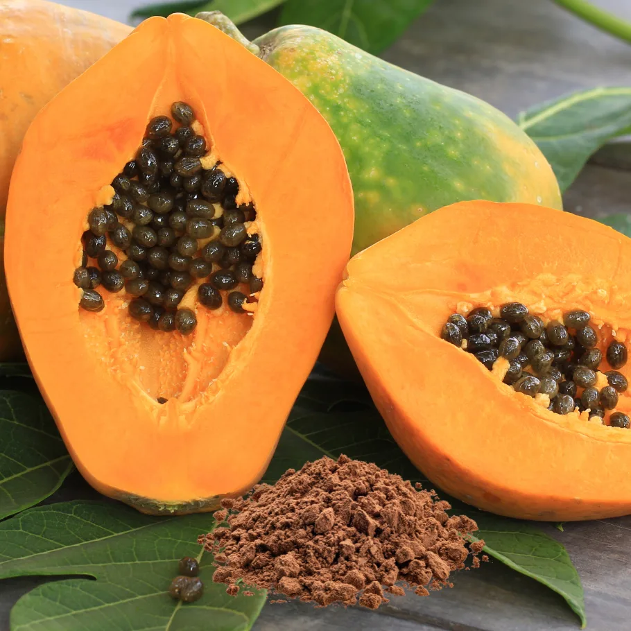 Papaya Powder